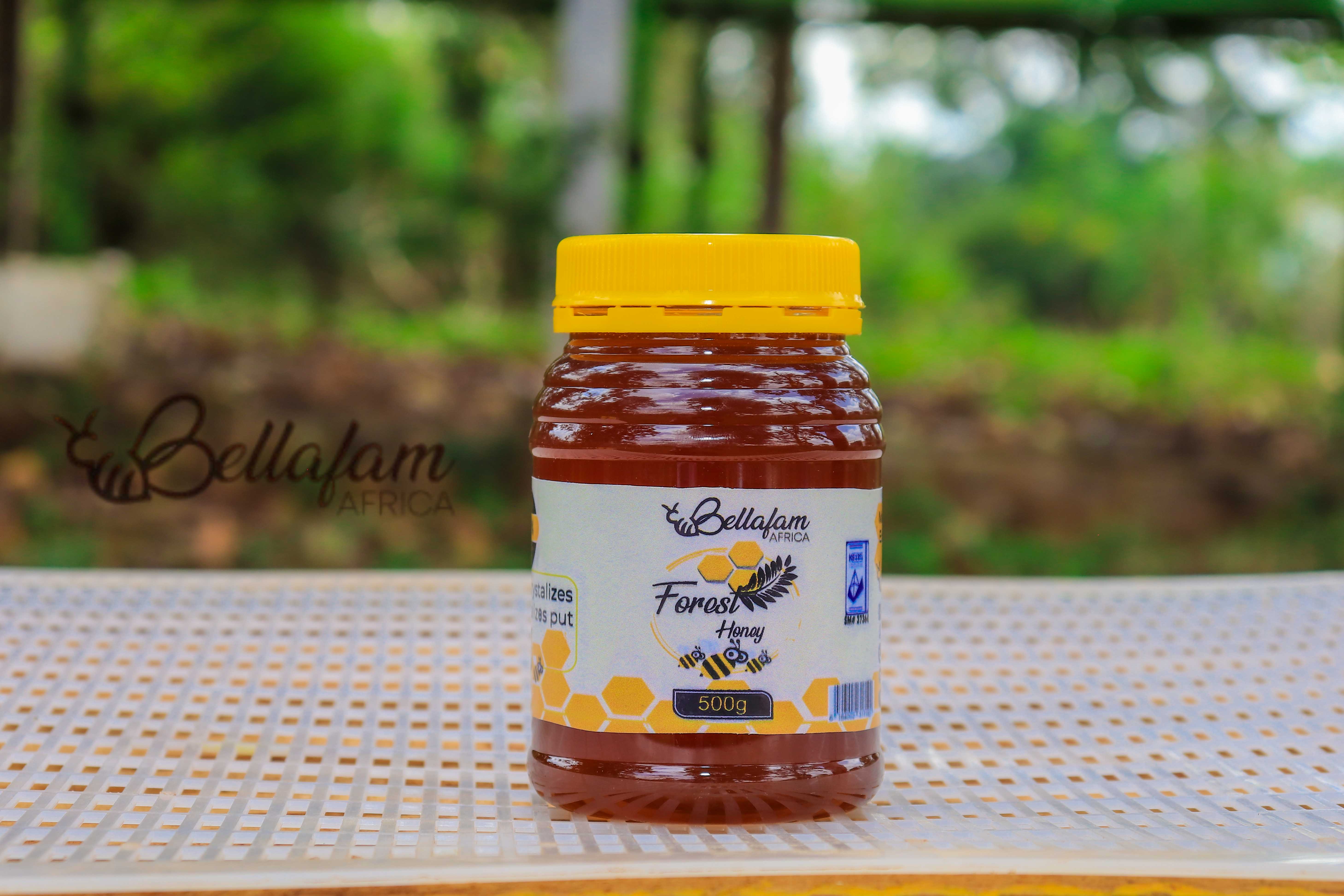 Forest Honey (1/2 kgs)