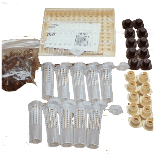 Queen Rearing Kit (NICOT)