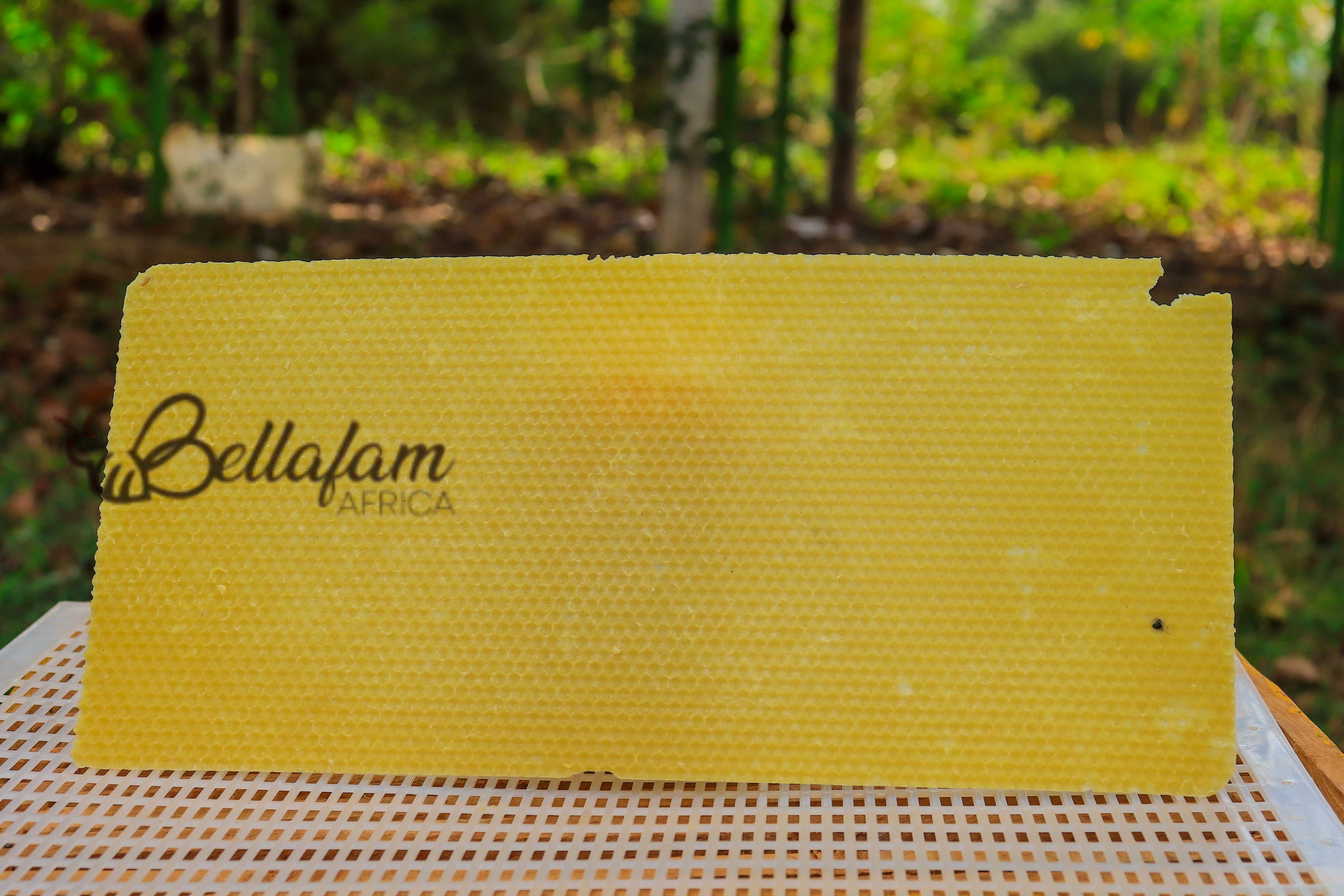 Beewax  Foundation  sheets